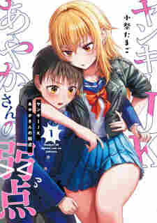 Yankee JK Ayaka-san no Jakuten - komik cover katalog Naraya bahasa Indonesia
